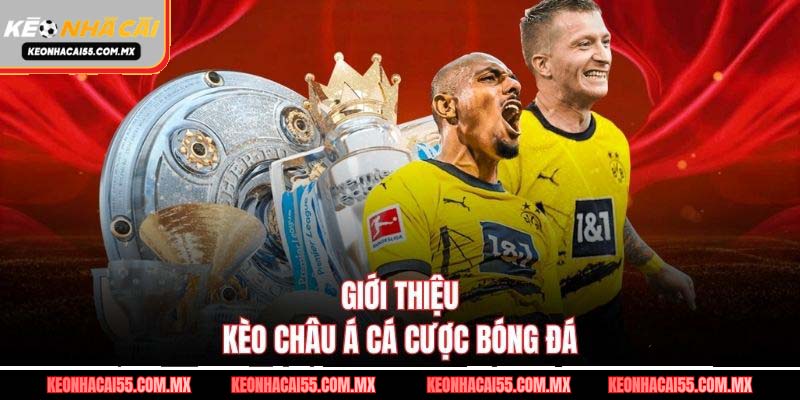 Giới thiệu kèo châu á cá cược bóng đá