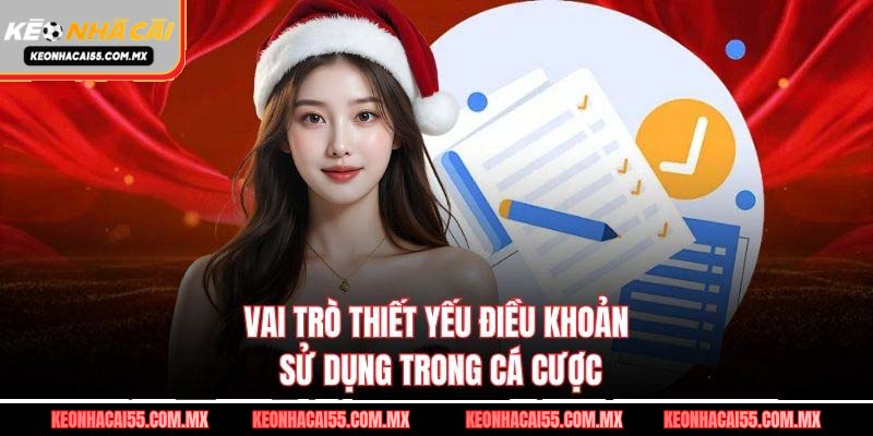 Vai trò thiết yếu điều khoản sử dụng trong cá cược