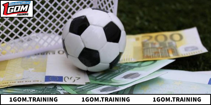 Tìm hiểu về nền tảng 1gom