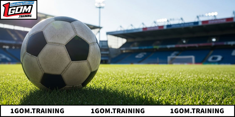 Tìm hiểu về nền tảng Xôi Lạc Tv